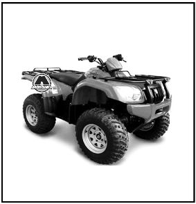 Квадроциклы Baltmotors ATV 500 MAX