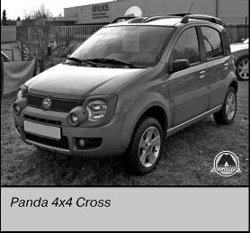 Автомобиль Fiat Panda