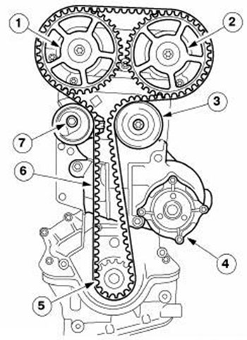 Ременный привод газораспределительного механизма Ford Focus