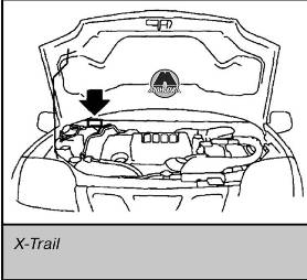 Идентификационная табличка Nissan X-Trail Rogue